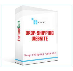 Create a Professional Dropshipping Website